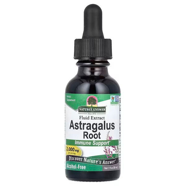 Astragalus Root, 2000mg - 30 ml. - Nature's Answer - WestPharmacy.nl - Immune Support