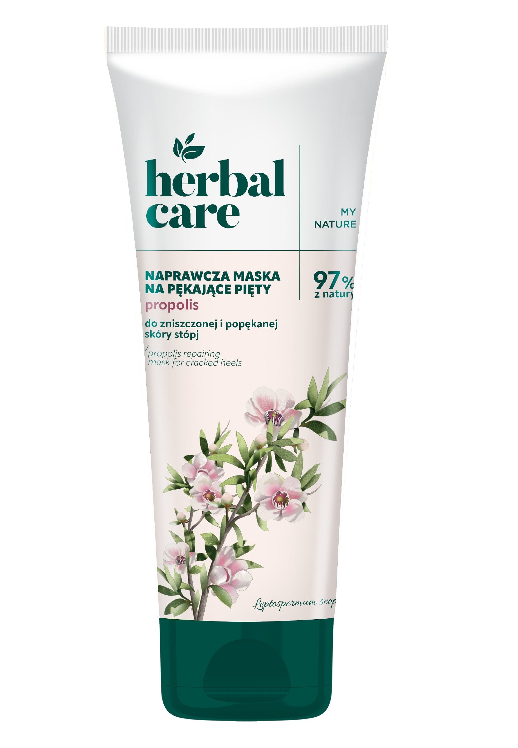 FARMONA Žolelių priežiūros atkuriamoji kaukė kulnams Propolis 100 ml | Vaistine1.lt | WestPharmacy.eu