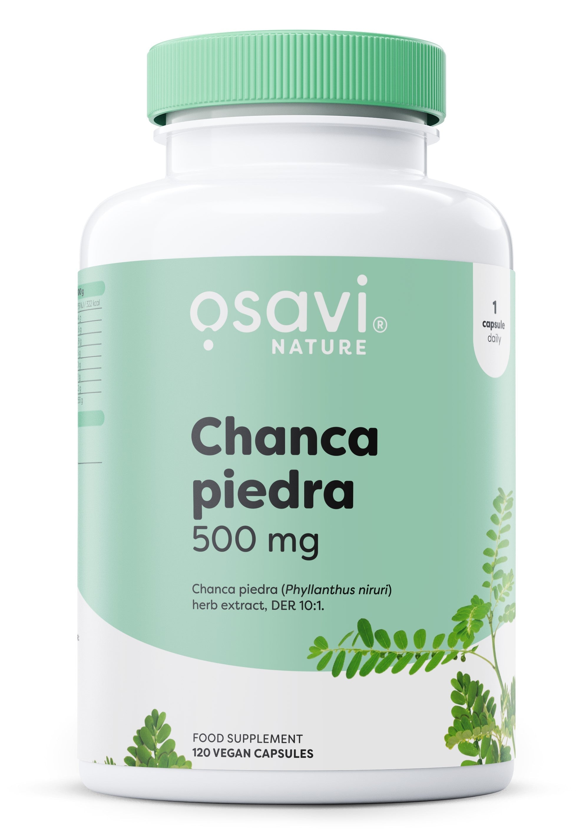 Chanca Piedra, 500mg - 120 vegan caps - Osavi | Vaistine1.lt | WestPharmacy.eu