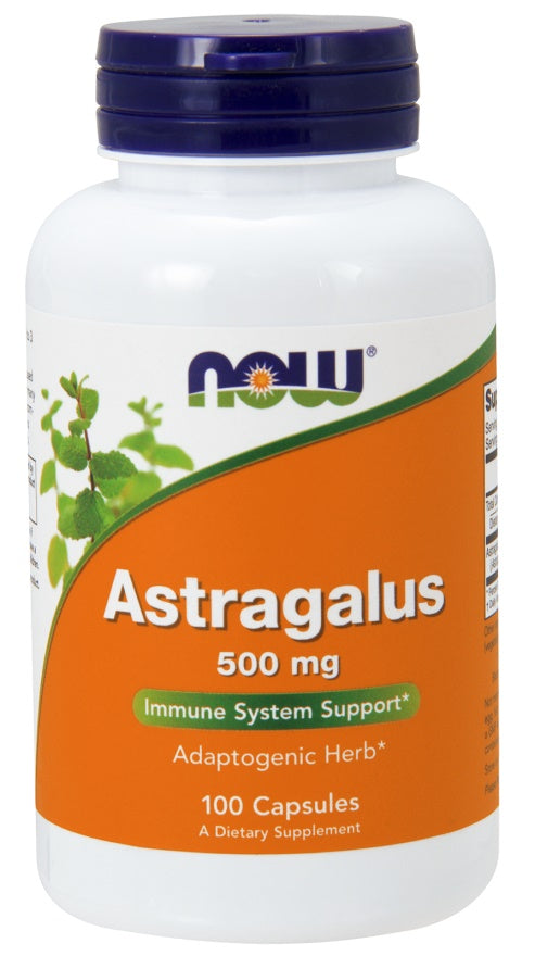 Astragalus, 500mg - 100 caps - NOW Foods | WestPharmacy.nl - Immune Support
