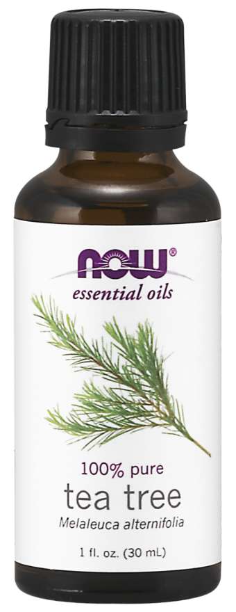 Essential Oil, Tea Tree Oil - 30 ml - NOW Foods | WestPharmacy.nl - Aromatherapy and essential oils
