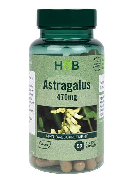 Astragalus, 470mg - 90 caps - Holland & Barrett | WestPharmacy.nl - Immune Support